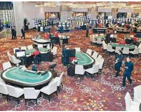 星空体彩app最新版